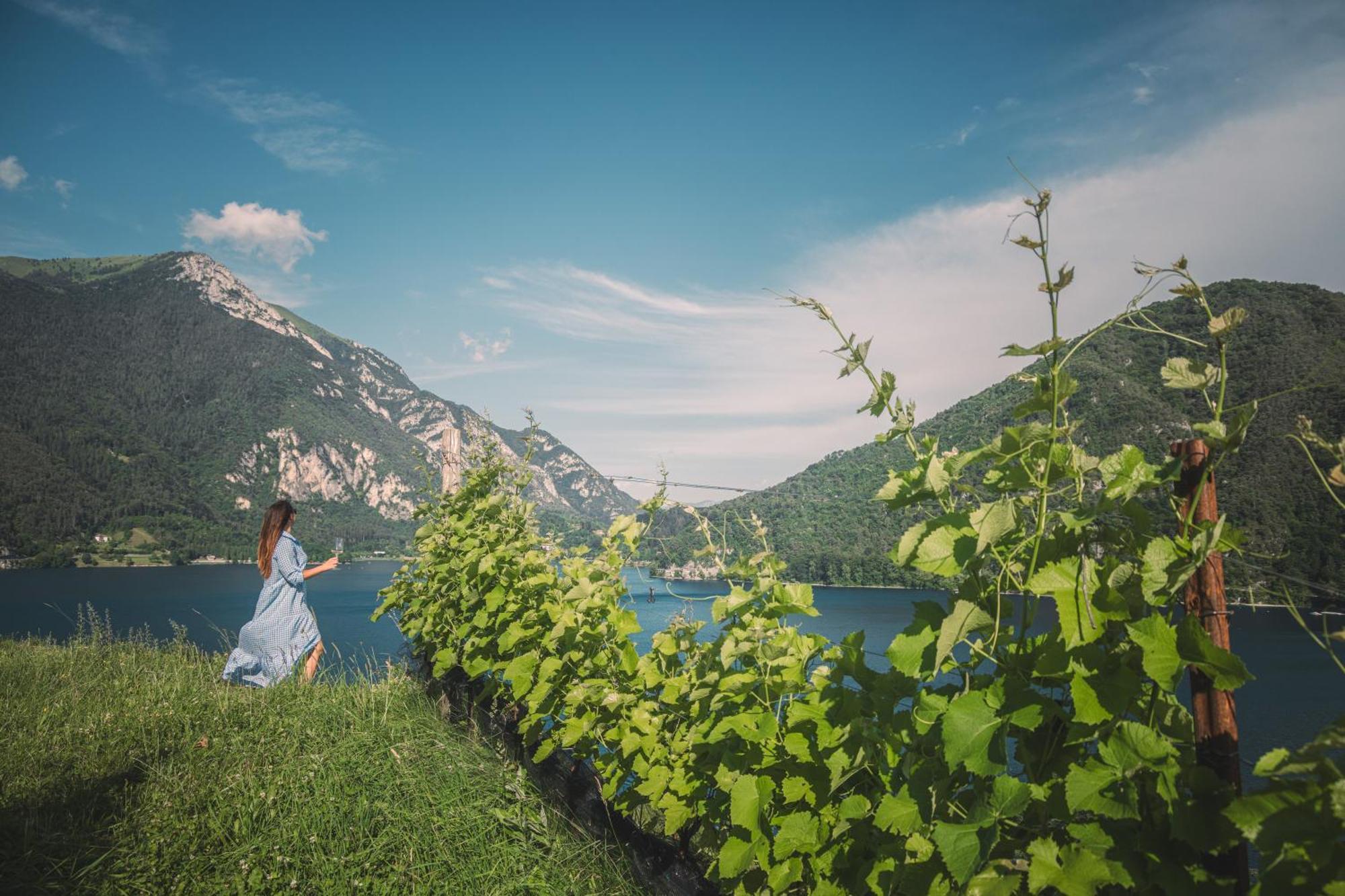 B&B Ca' Serena Wine Retreat LEDRO Dış mekan fotoğraf